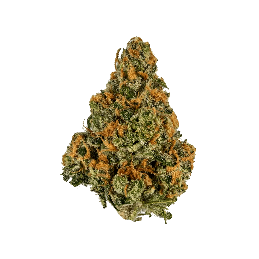 Shezan Mango THCA Hemp Flower (Sativa)