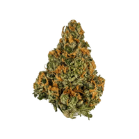 Close-up of Mango cannabis bud with orange hairs and frosty trichomes on black background