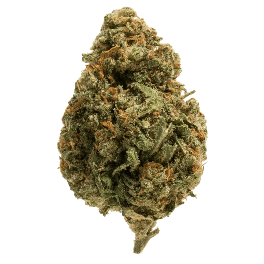A dense, spade-shaped forest green nug of hemp flower with orange hairs and golden-white crystal trichomes.