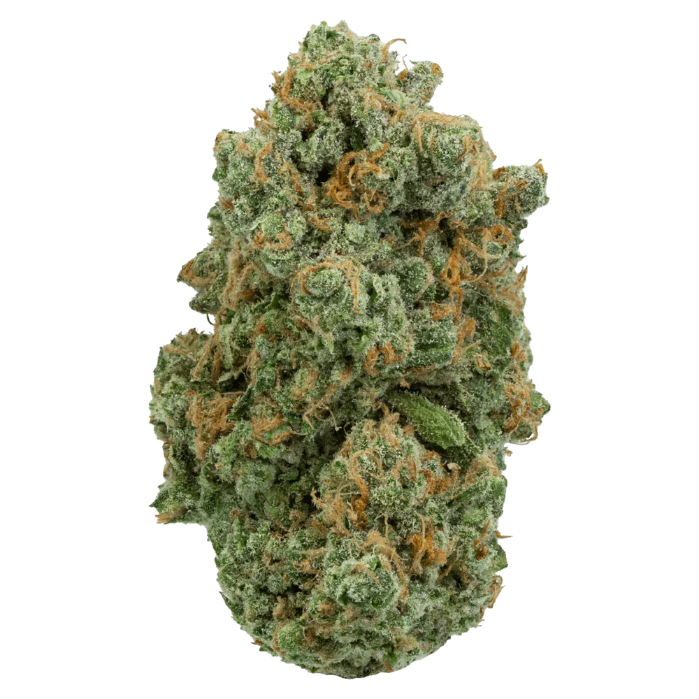 Close-up of a frosty green cannabis bud with orange hairs on a plain background