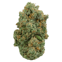Close-up of a frosty green cannabis bud with orange hairs on a plain background