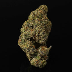 Image of SPR Haze Exotic Indoor THCA Hemp Flower Venera