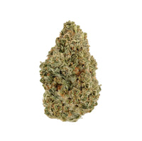 Strawberry Cough cannabis bud close-up on white background