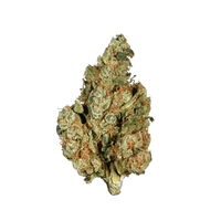 Sugar Kush cannabis bud with green and orange trichomes on white background