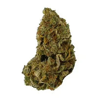 Close-up of Trufflez cannabis bud with green and orange hairs on a white background